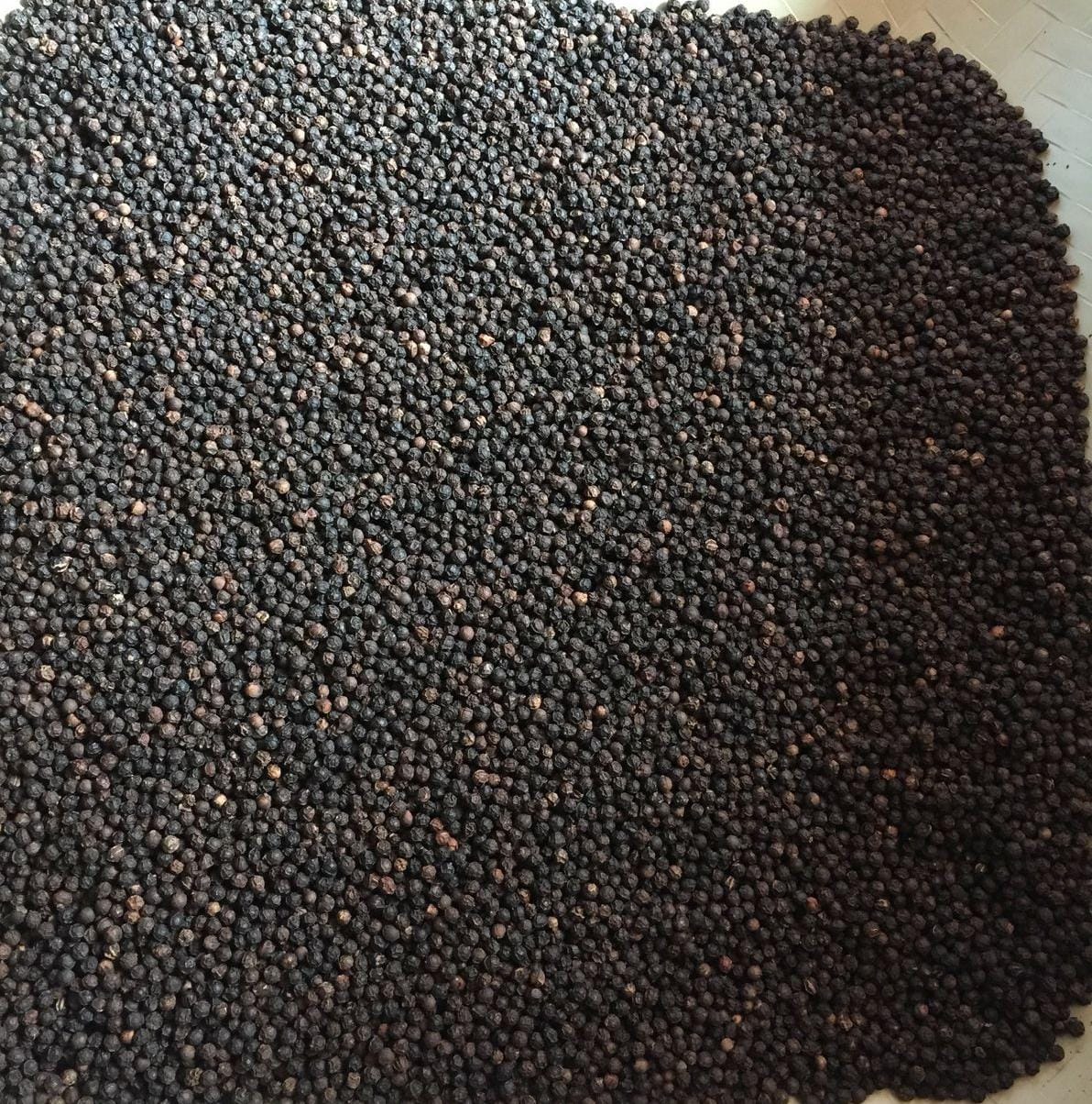 Black Pepper