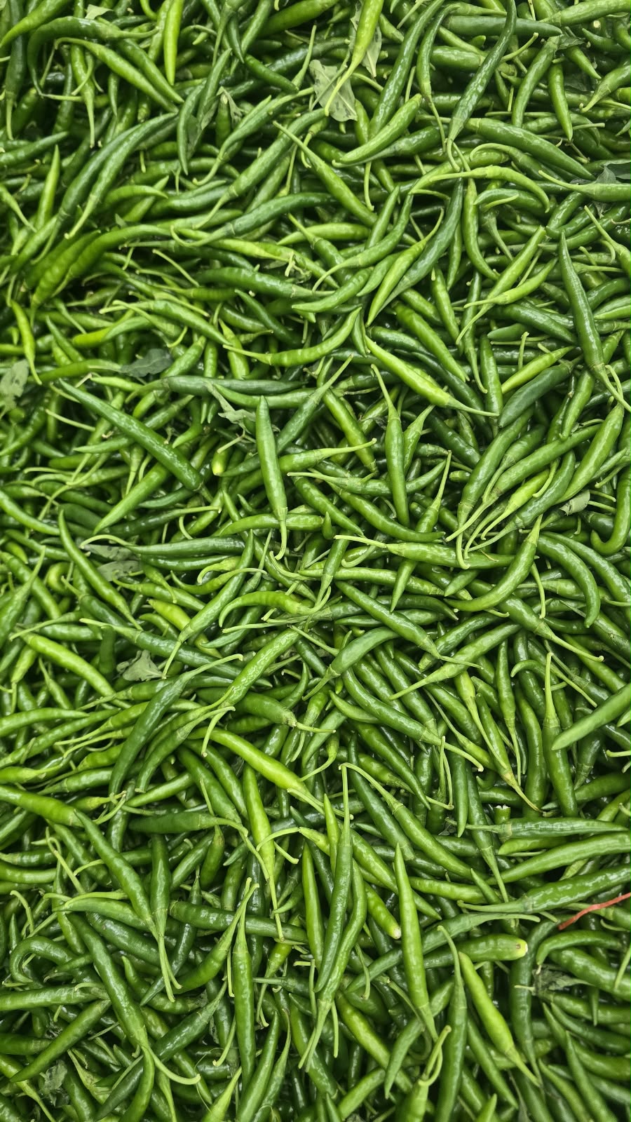 Green Chilli