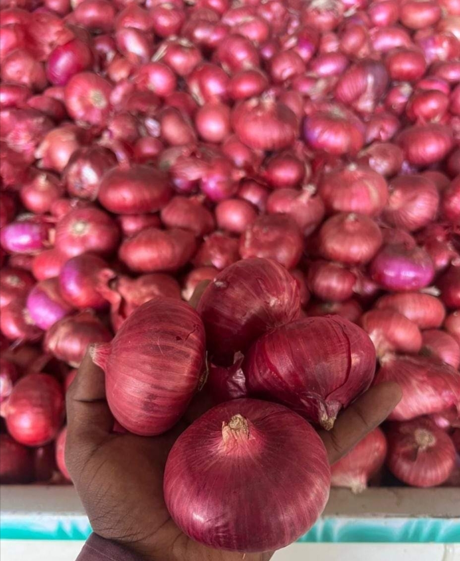 Whole Onion